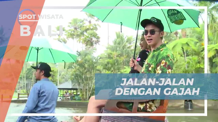 Menyusuri Keindahan Alam Bali Bersama Gajah di Mason Elephant Park