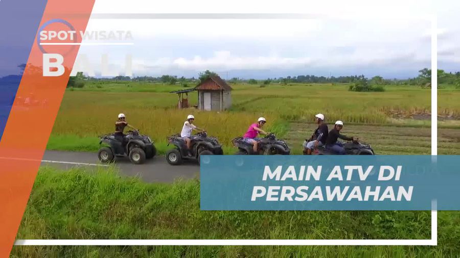 Merasakan Serunya Bermain ATV di Persawahan Bali