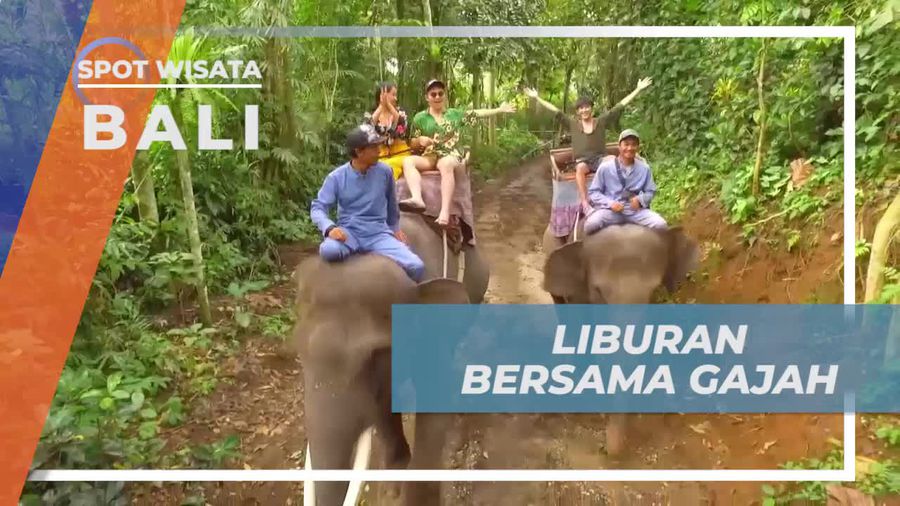 Bermain Bersama Gajah di Mason Elephant Park, Bali