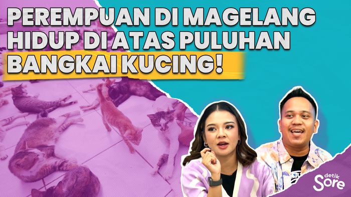 Trenyuh! Perempuan ini Tak Rela Berpisah dengan Kucing-kucingnya