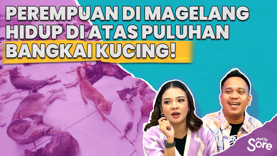 Trenyuh! Perempuan ini Tak Rela Berpisah dengan Kucing-kucingnya