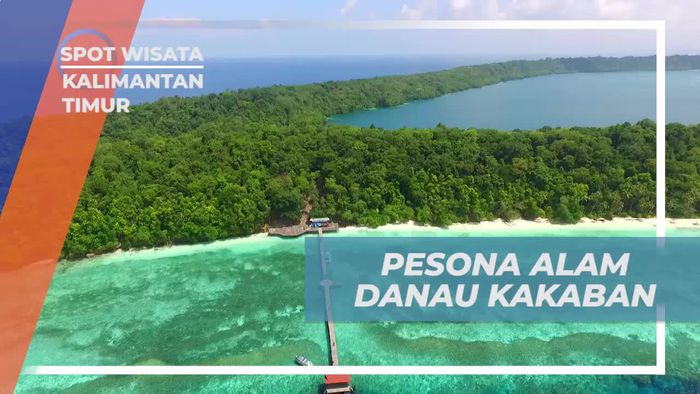 Terpesona oleh Keindahan Alam di Danau Kakaban, Kalimantan Timur
