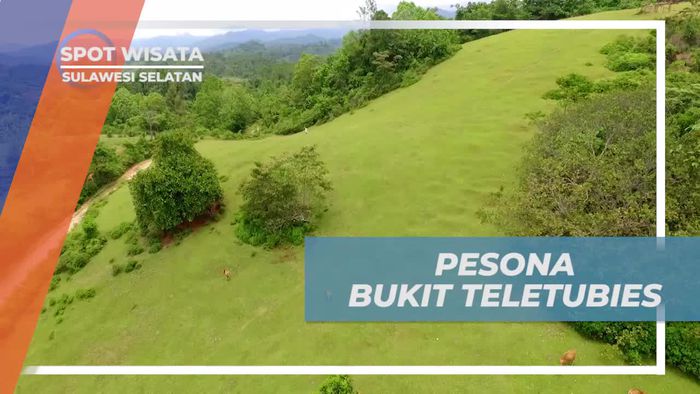 Menikmati Pesona Alami Bukit Teletubies di Sulawesi Selatan