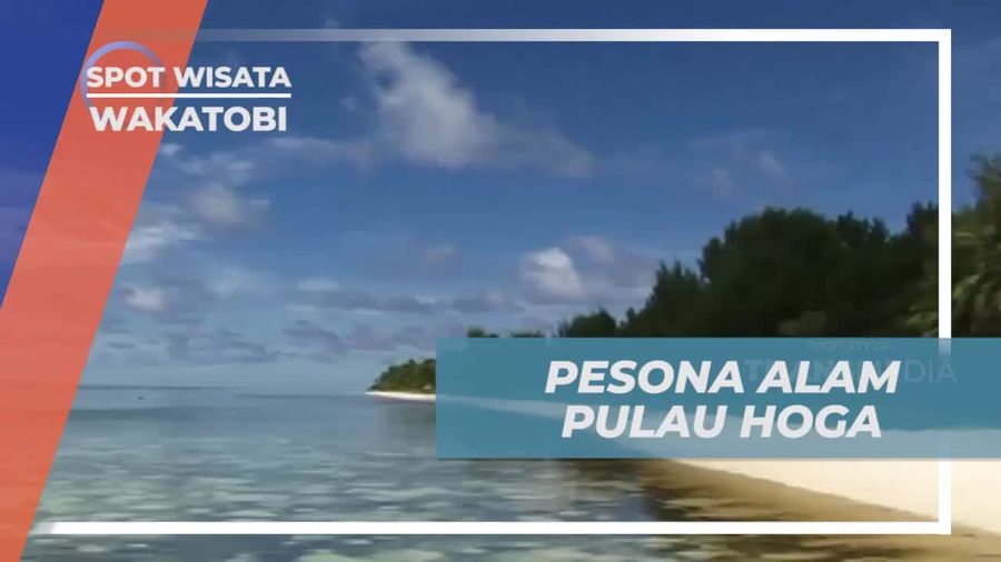 Terpukau Pesona Alam Pulau Hoga di Wakatobi