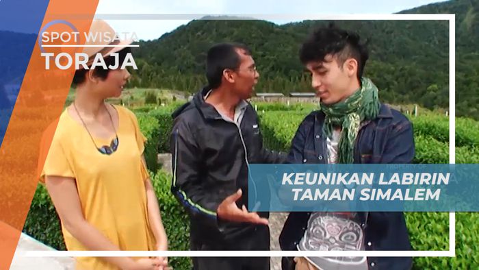 Menguji Kemampuan di Labirin Taman Simalem Sumatera Utara