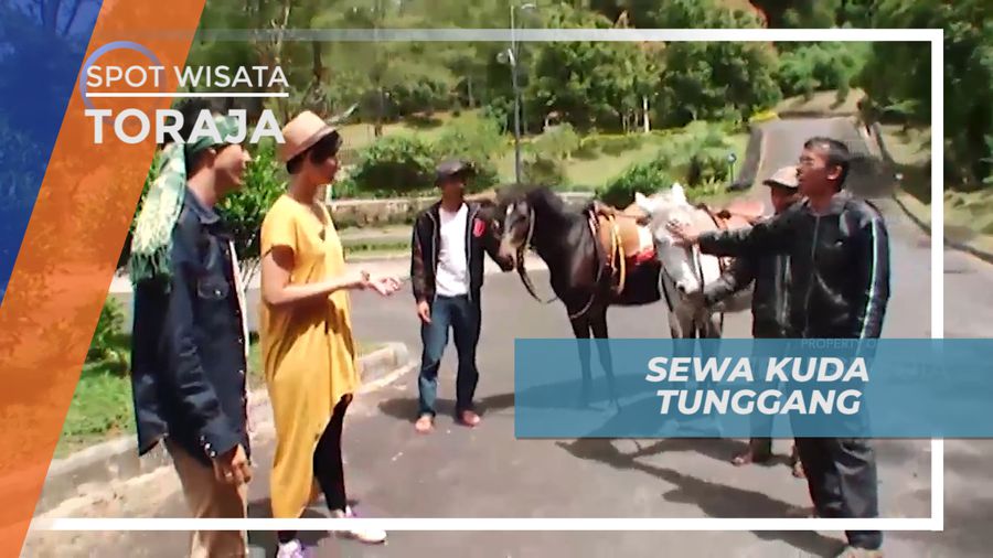  Menikmati Kuda Tunggang di Tana Toraja Sumatera Utara
