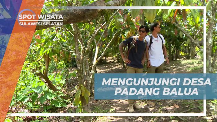 Menjelajah Keindahan Desa Padang Balua di Sulawesi Selatan