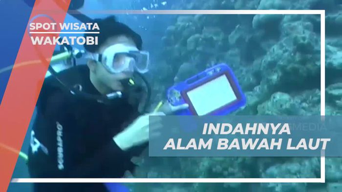 Menjelajahi Keindahan Bawah Laut Pulau Hoga, Wakatobi