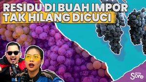 Pemerintah Sempat Memberi Memberi Sinyal Aman Untuk Konsumsi Anggur Impor