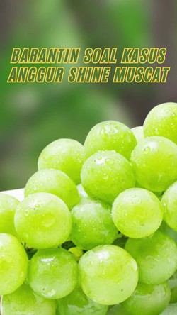 Video: Hasil Monitoring Barantin Terkait Produk Anggur Impor di Indonesia