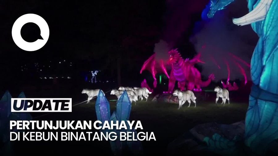 Video Pameran Cahaya di Kebun Binatang Belgia Sambut Musim Dingin