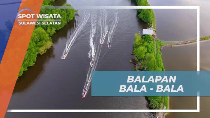 Menantang Adrenalin dalam Balapan Bala-bala di Desa Pao, Sulawesi Selatan