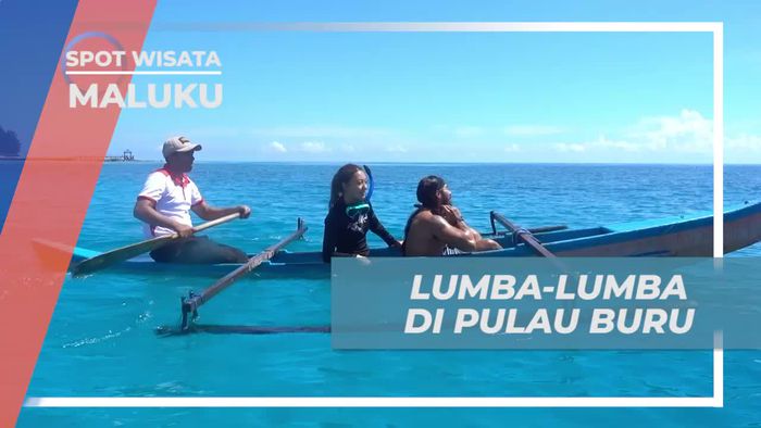 Kejar Lumba-Lumba di Perairan Indah Pulau Buru, Maluku