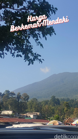 Video: Spil Tarif Masuk Gunung Gede Pangrango Terbaru 2024