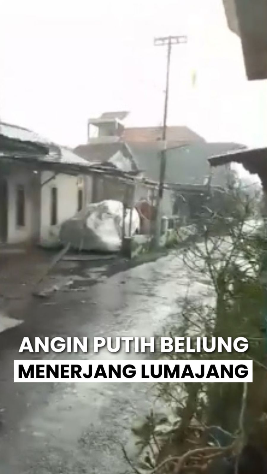 Video: Penampakan Angin Puting Beliung Terjang 2 Kecamatan di Lumajang