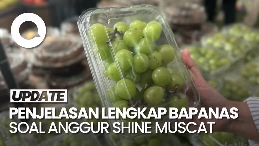 Video: Bapanas Pastikan Anggur Shine Muscat di RI Aman Dikonsumsi