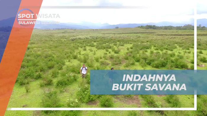 Menikmati Indahnya Bukit Savana di Sulawesi Selatan yang Membentang Hijau