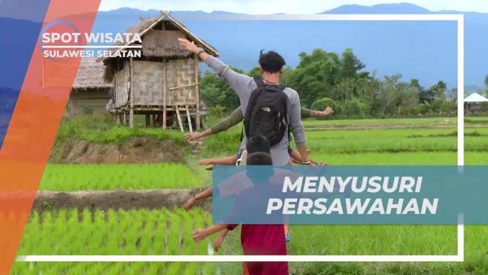 Menyusuri Persawahan Nan Indah di Pedesaan Sulawesi Selatan