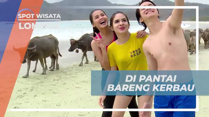 Berinteraksi dengan Kerbau di Pantai Selong Belanak Lombok