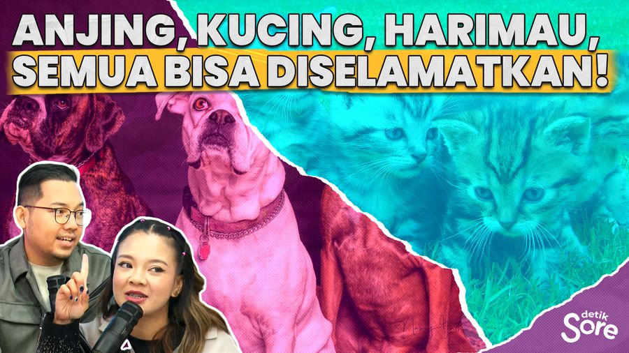 Memperjuangkan Hak Asasi Hewan Bersama JAAN