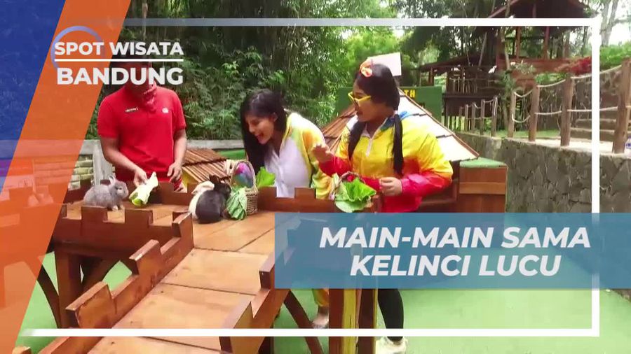 Main Seru Bersama Kelinci-Kelinci Imut di Bandung