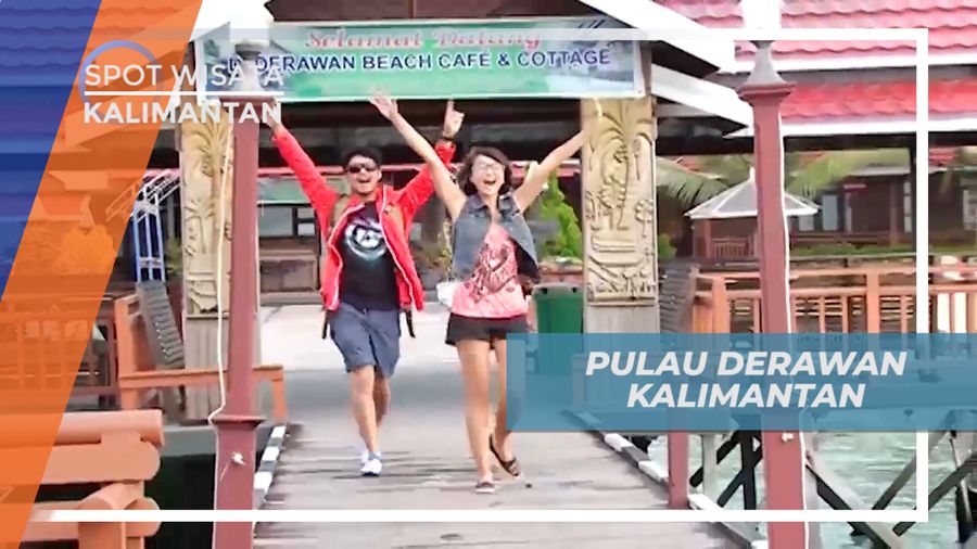 Wisata Menyelam di Pulau Derawan dengan Keindahan Bawah Lautnya