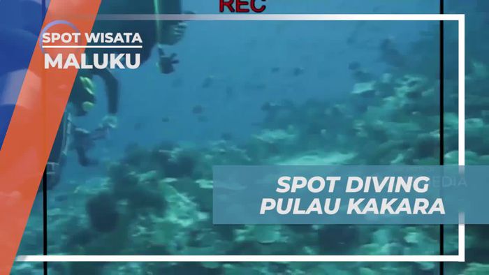 Spot Diving Indah di Pulau Kakara, Maluku