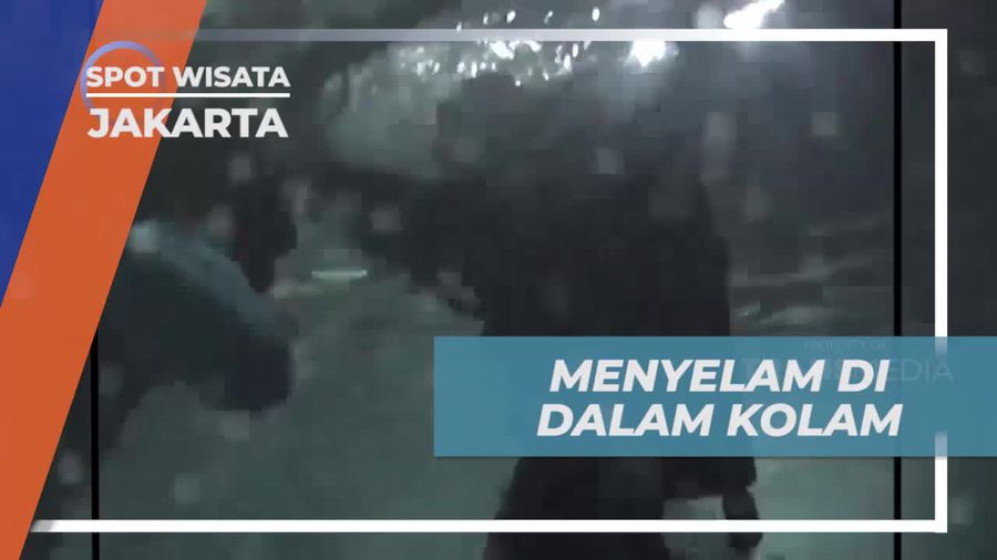Menyelam di Kolam Sea World Jakarta