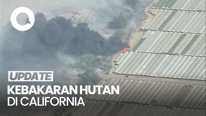 Video Helikopter Dikerahkan Padamkan Api Kebakaran Hutan di California