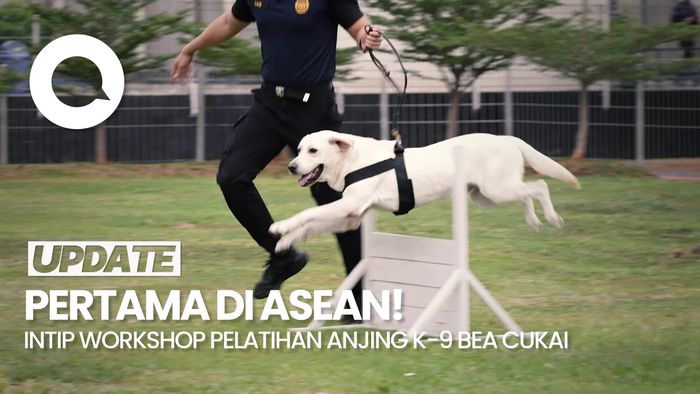 RDTC Bea Cukai Gelar Workshop Manajemen Unit K-9 Dengan 8 Negara ASEAN!