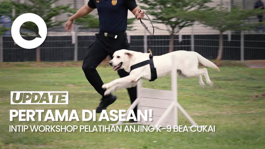 RDTC Bea Cukai Gelar Workshop Manajemen Unit K-9 Dengan 8 Negara ASEAN!
