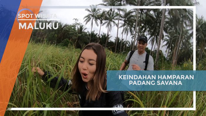 Menjelajah Hamparan Savana Indah Desa Marafenfen, Maluku