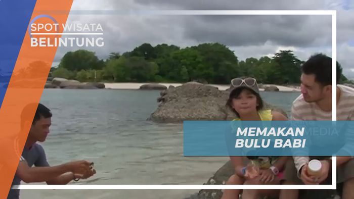 Menikmati Kuliner Bulu Babi Khas Belitung