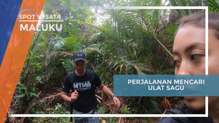 Mencari Ulat Sagu di Hutan Kepulauan Aru, Maluku