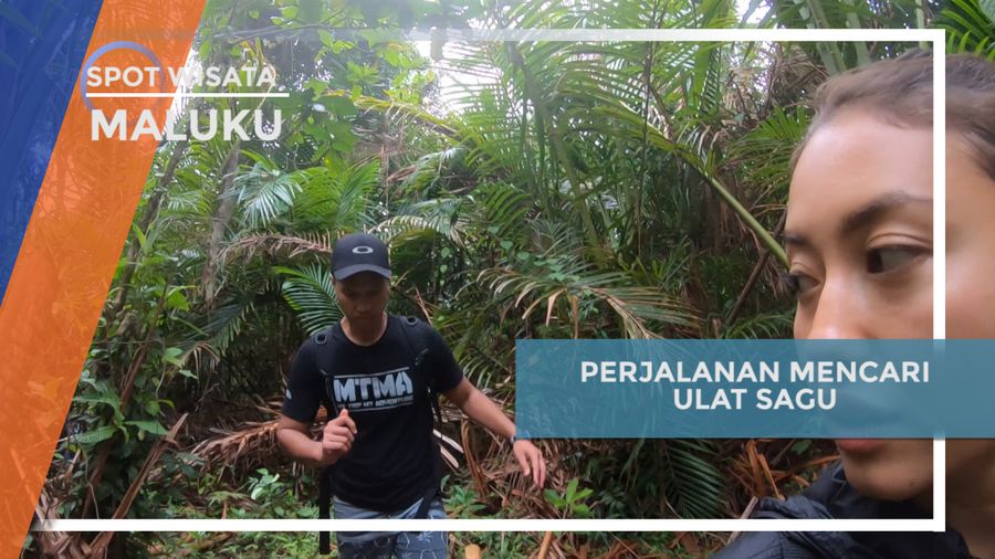Mencari Ulat Sagu di Hutan Kepulauan Aru, Maluku