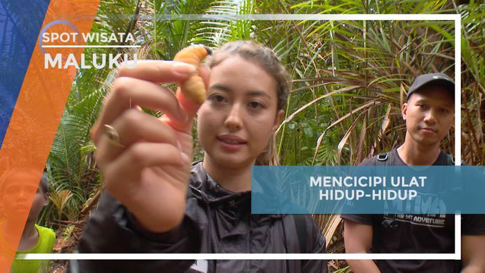 Mencicipi Ulat Sagu Hidup-hidup di Kepulauan Aru, Maluku