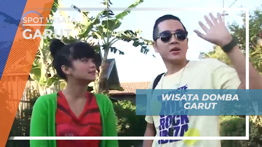 Wisata Seru ke Kampung Domba di Garut