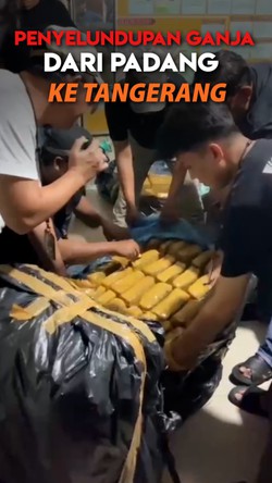Video: Detik-detik Polisi Gagalkan Penyelundupan 159 Kg Ganja Asal Padang