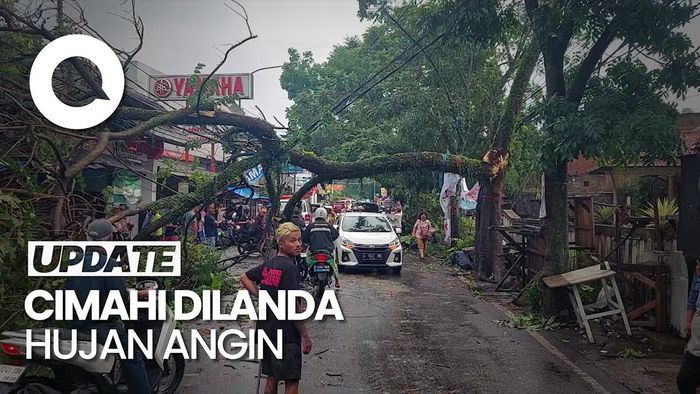 Video Hujan Angin Landa Cimahi, Pohon-pohon Bertumbangan