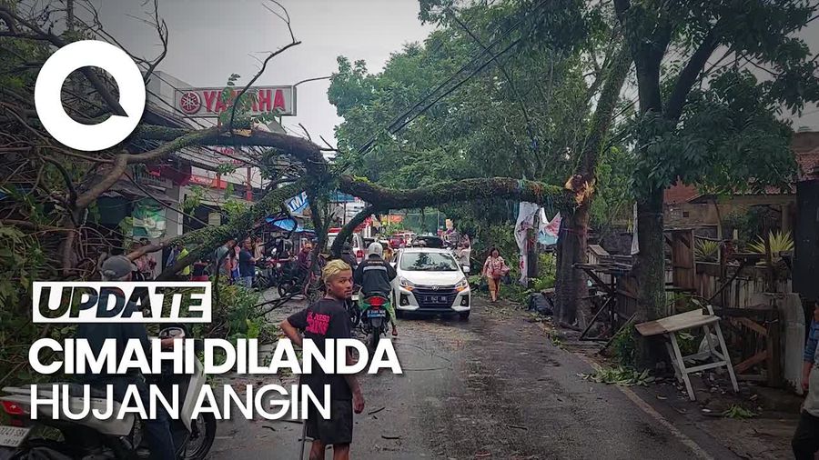 Video Hujan Angin Landa Cimahi, Pohon-pohon Bertumbangan