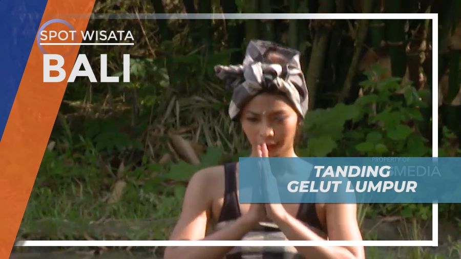 Pertandingan Gelut Lumpur yang Seru di Bali