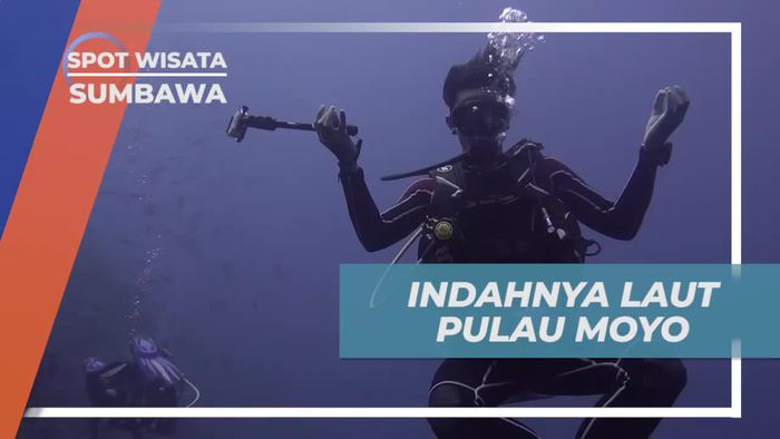 Menyaksikan Keindahan Laut di Pulau Moyo, Sumbawa