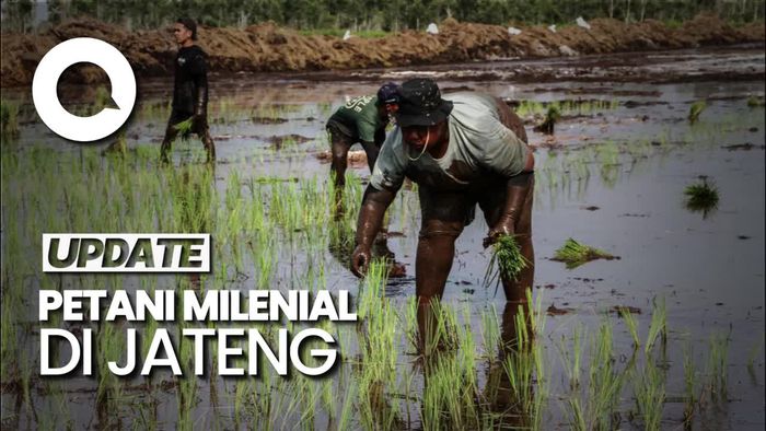 Video Cara Gaet Petani Milenial: Andika Beri Insentif, Luthfi Petani Gajian