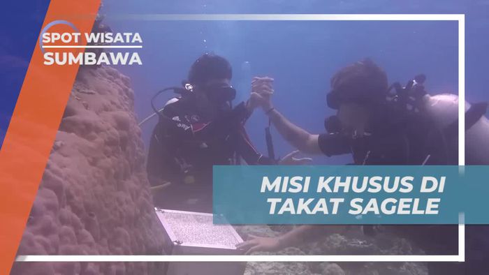 Misi Khusus Menemukan Koper di Bawah Laut Takat Sagele, Sumbawa
