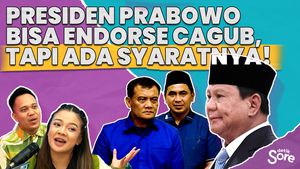 Berperan Jadi Ketua Partai, Prabowo Dukung Paslon Pilkada Jateng