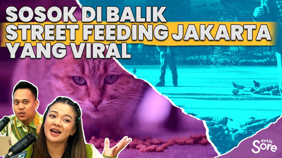 Sosok di Balik Street Feeding Jakarta yang Viral