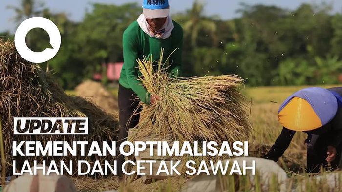 Video: Strategi Pangan Lestari Kementan untuk Makan Bergizi Gratis
