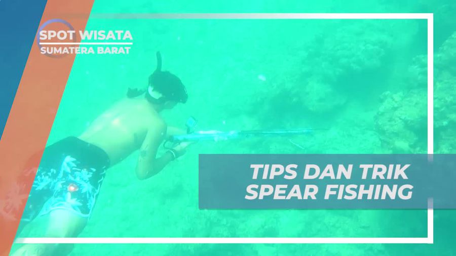 Panduan Tips dan Trik Spear Fishing untuk Pemula di Sumatera Barat