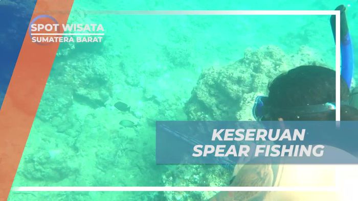 Asyiknya Mencoba Spear Fishing di Pantai, Sumatera Barat