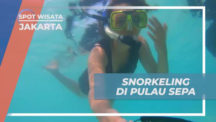 Snorkeling Bersama Ikan di Pulau Sepa, Kepulauan Seribu Jakarta